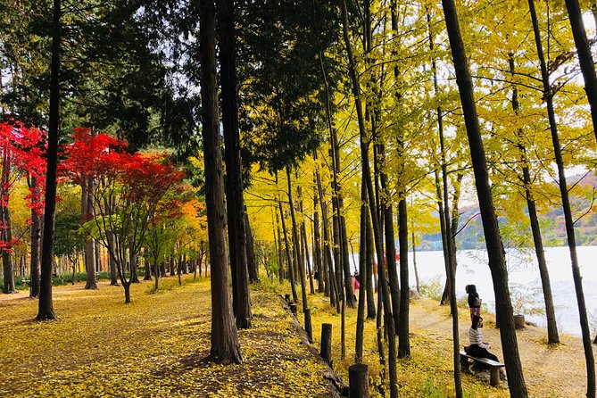 Mt. Seorak+Nami Island+Garden of Morning Calm Day Trip from Seoul - Walking comfort: footwear, foggy windows, and pacing your energy