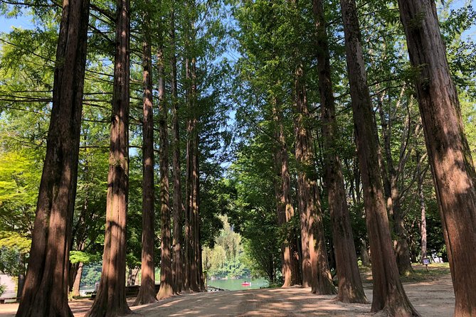 Mt. Seorak+Nami Island+Garden of Morning Calm Day Trip from Seoul - Best time to go: fall foliage swaps and what to expect