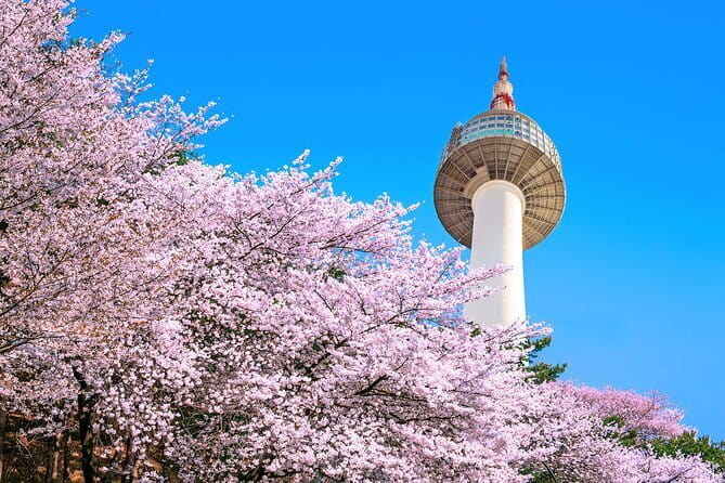 N Seoul Tower Observatory Ticket South Korea - Key things to know before you go