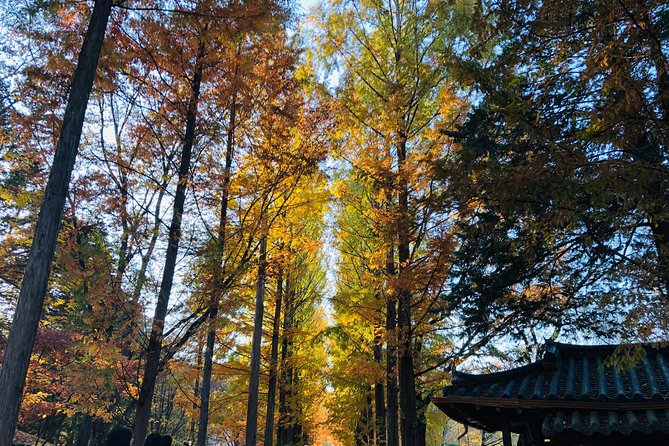 Nami+Alpaca+Garden of Morning Calm (+Rail Bike Option) - A Seoul Escape With Four Picture Stops, plus Optional Rail Bike