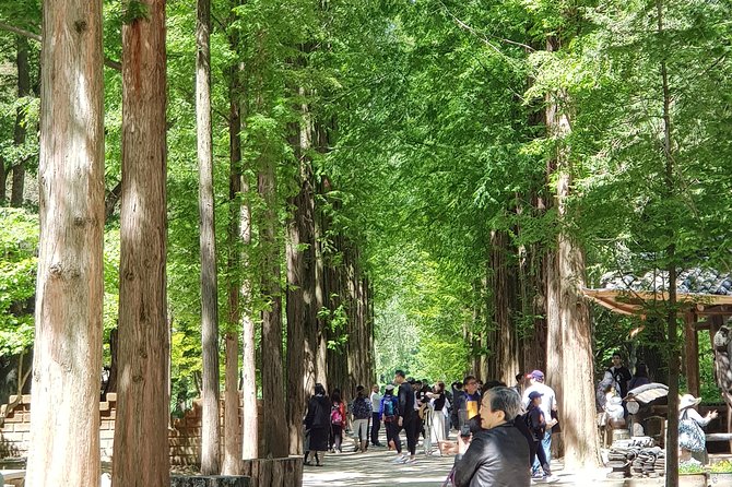Nami Island and Petite France - Filming location - Key Highlights Worth Marking on Your Map