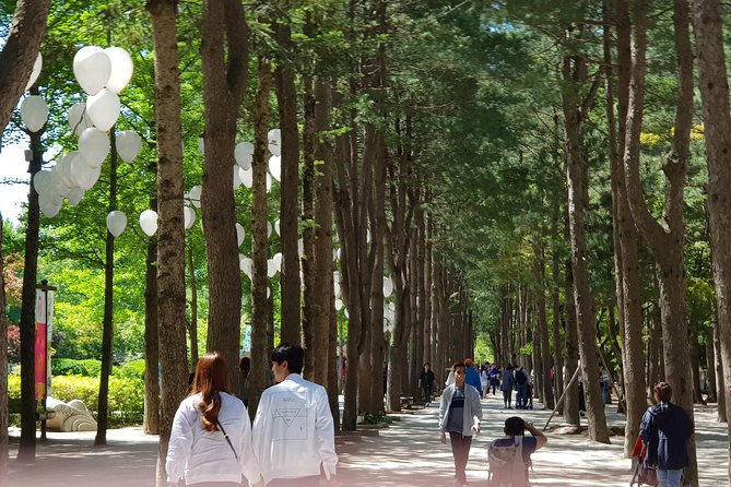 Nami Island and Petite France - Filming location - Getting There From Seoul: Pickup, Mobile Tickets, and Realistic Timing