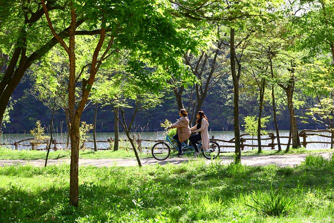 Nami Island and Petite France & Italian Village Day Trip from Seoul - Tips That Make the Free Time Feel Like a Vacation, Not a Checklist