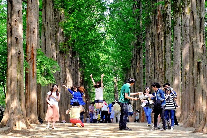 Nami Island, Cable Car, Garden of Morning Calm Panoramic Tour - Samaksan Cable Car and Samak Mountain Skywalk: the view payoff