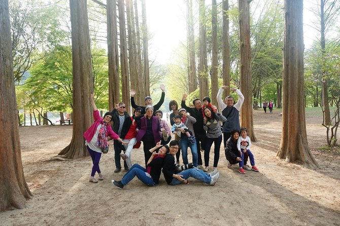 Nami Island from Seoul: Petit France and Garden of Morning Calm - Why this Seoul day trip feels less annoying than doing it on your own