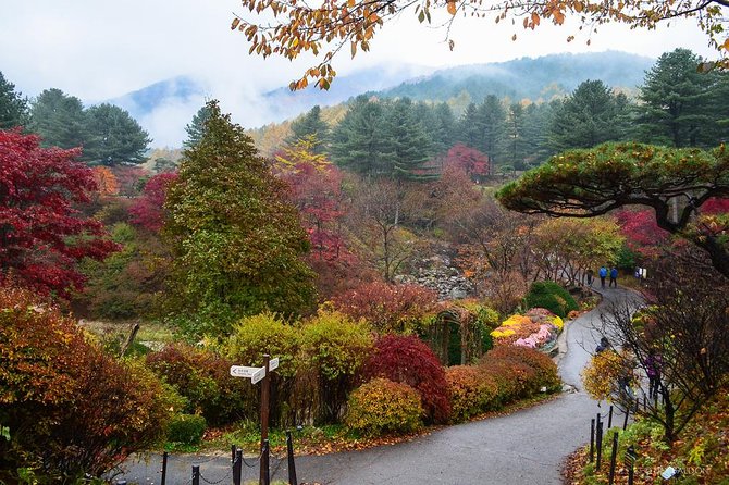 Nami Island from Seoul: Petit France and Garden of Morning Calm - Price and value: what $270 gets you, and what you still pay