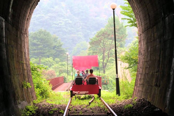 Nami Island & Garden of Morning Calm & Gangchon Railbike Tour - Getting to and from Hongik Univ Station without the stress
