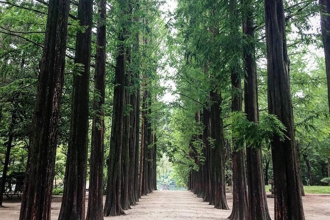 Nami Island & Nearby Attractions : Charter Van Tour With Driver - Alpaca World: the animal break that works even on a long day