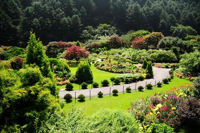 Nami Island& Petite France& Garden of Morning Calm& Italian Village One-Day Tour - The guide and group size: why names keep coming up