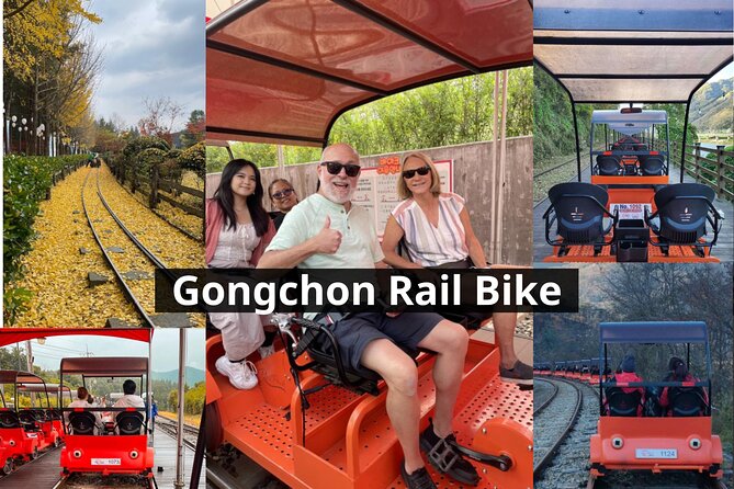Nami Island & Petite France & Italian Village & Gangchon Rail Bike One-Day Tour - Price and what you get for $91.60