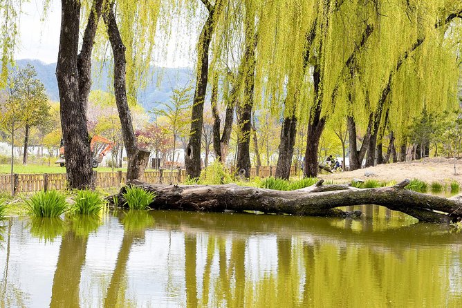Nami Island & Petite France with Italian Village One-Day Tour - The Italian Village stop: why a small added theme can be a real win