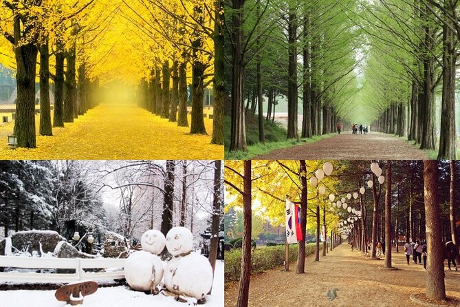 Nami Island & Petite France with Italian Village One-Day Tour - Nami Island: 3 hours on tree-lined paths, with winter-drama photo energy