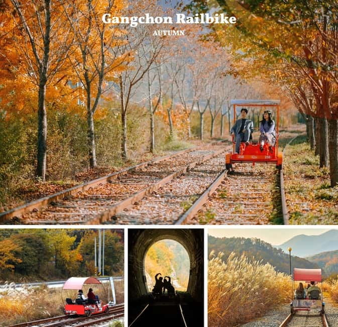 Nami Island, Railbike & Alpaca Garden Day Trip from Seoul - A Seoul-to-Gangwon autumn day plan: Nami Island, Railbike, Alpaca Garden