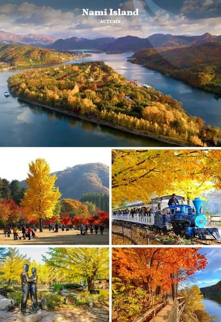 Nami Island, Railbike & Alpaca Garden Day Trip from Seoul - Who this trip suits best (and who should rethink it)