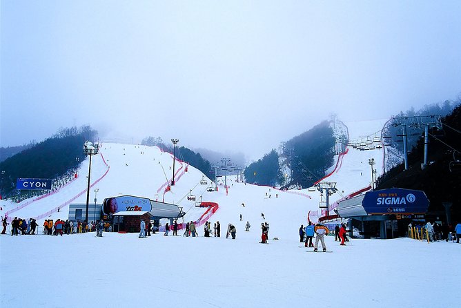 Nami Island + Ski Tour - Morning pickup in Seoul: three stations, one bus