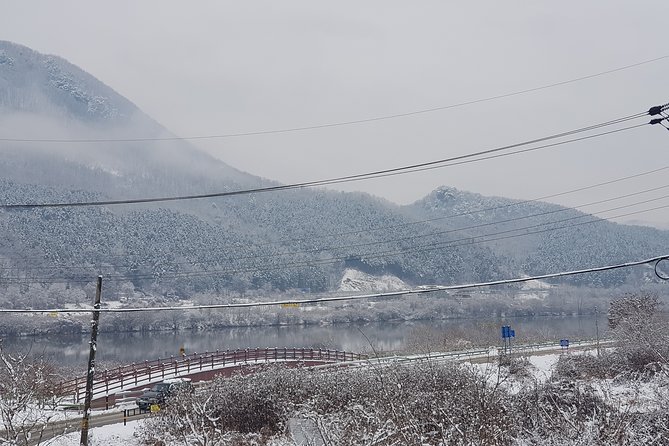 Nami Island + Ski Tour - Nami Island winter walk: how to use your 1 hour well