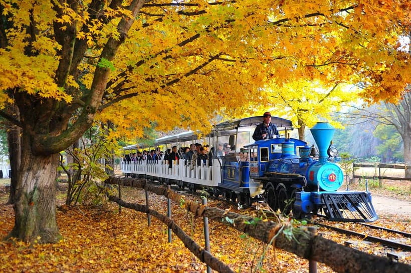 Nami Island & Theatre des Lumieres Day Tour from Seoul - Price and value: what $50 includes, and what it does not