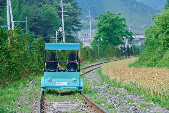 Nami Island Trip with Petite France & Italian Village and Gangchon Rail Bike - Transportation That Saves Your Brain: Coach, Timing, and Group Flow