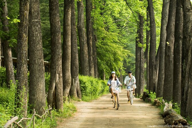 Nami Island Trip with Petite France & Italian Village and Gangchon Rail Bike - Gangchon Rail Bike Park: The Big Highlight Outside Seoul