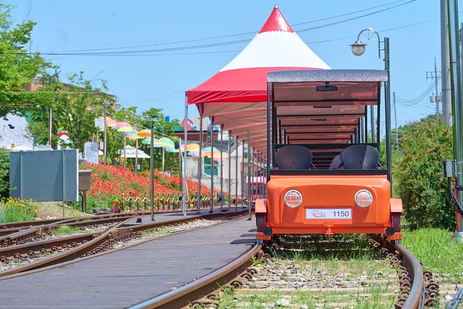 Nami Island Trip with Petite France & Italian Village and Gangchon Rail Bike - How the Guides Shape the Day (And Why It Matters)
