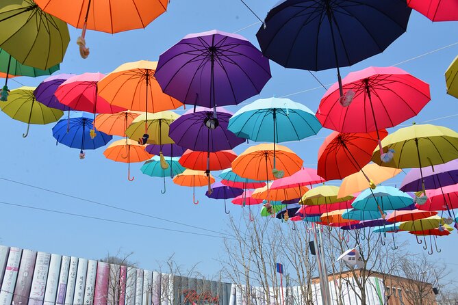 Nami Island Trip with Petite France & Italian Village and Gangchon Rail Bike - Price and Value: What You Get for About $80