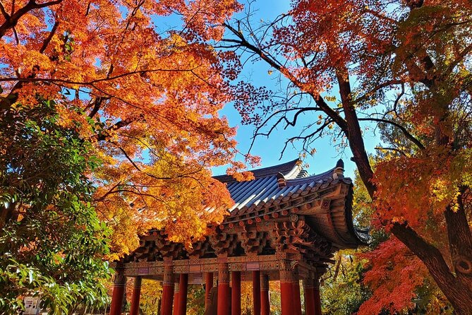 Old Korea Thousand History Tour of Gyeongju from Busan - Why This Gyeongju UNESCO Day Trip Works So Well From Busan