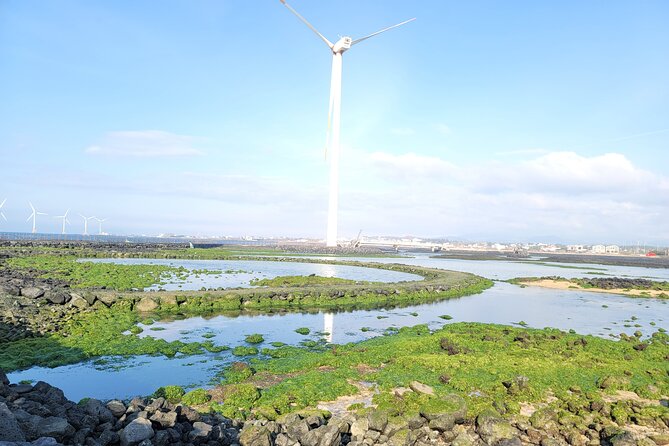 One day private Customized jeju tour - All Area in jeju island - Sinchang Windmill Coastal Road and Seong-eup Village: Views Plus a Slice of Daily Life