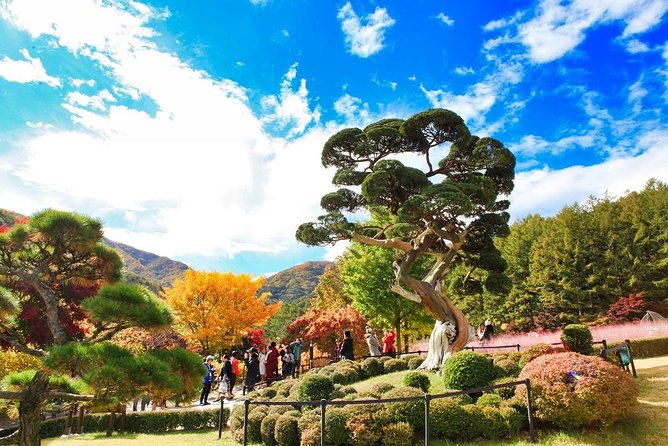 One Day Private Tour-Nami, Petite and Garden of Morning Calm - Nami Island: 3 Hours of Tree-Lined Walks and Winter Sonata Vibes