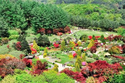 One Day Private Tour-Nami, Petite and Garden of Morning Calm