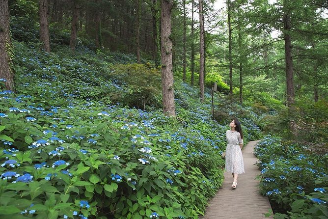 One Day Private Tour-Nami, Petite and Garden of Morning Calm - Price and Value: Is $309 Per Person Worth It?