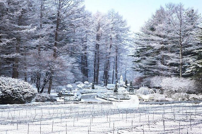 One Day Private Tour-Nami, Petite and Garden of Morning Calm - Who This Tour Suits Best (and Who Should Skip It)
