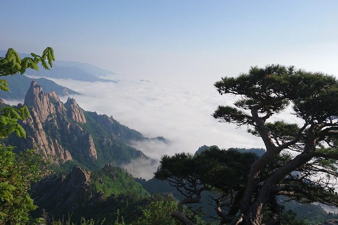 One-Day Tour for stunning Mt.Seoraksan from Seoul - A Seoul Day Trip That Actually Gets You Into the Mountains