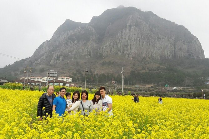 Package tour of All areas of Jeju Island-(East &South &West) - South Jeju Waterfall and Columnar Cliffs: Jeongbang and Jusangjeolli