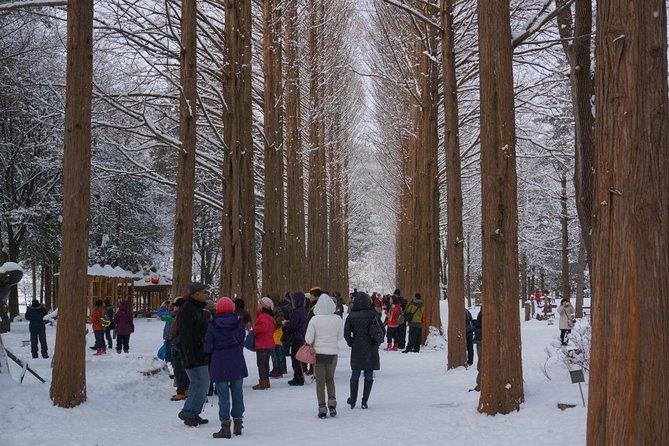 [Perfect Private Tour] Nami island, Petite France and Organic Strawberry Farm - Should you book this Nami, Petite France, and organic strawberry day trip?