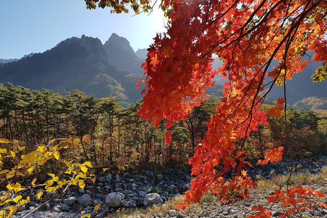 [Premium Private Tour] Mt Seorak & East Sea or Nami island from Seoul - Lunch in the mountain-to-seaside transition zone