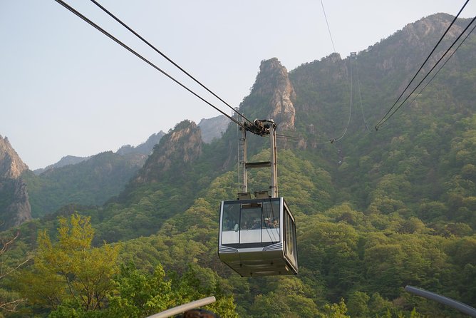 [Premium Private Tour] Mt Seorak & East Sea or Nami island from Seoul - Nami Island versus the East Sea: choose your mood, then go
