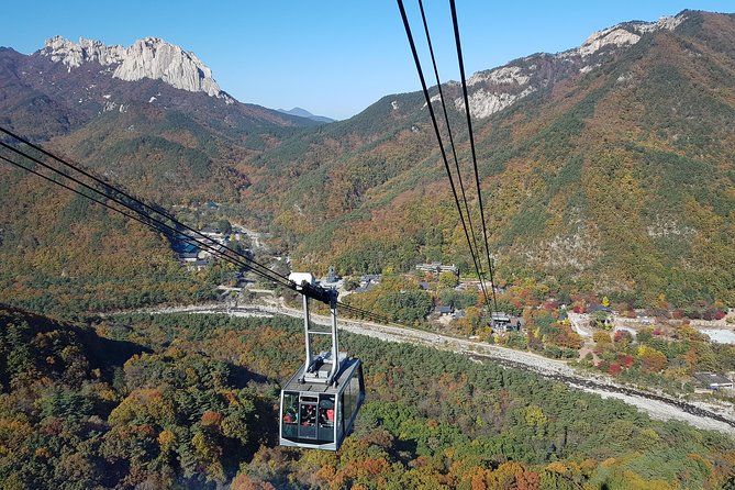 [Premium Private Tour] Mt Seorak & East Sea or Nami island from Seoul - What Sinheungsa teaches you on the ground