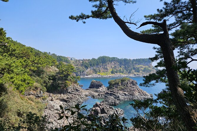 Private 2Days Tour a lot of Experience Driver in jeju island - Why this private 2-day Jeju ride makes sense for most travelers