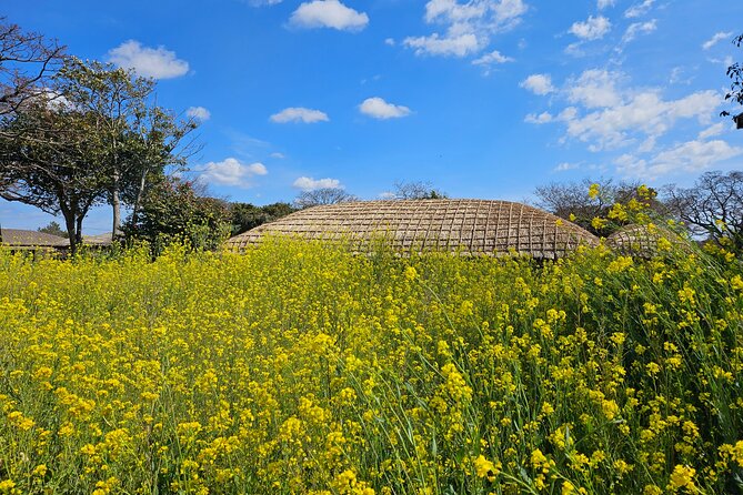 Private 2Days Tour a lot of Experience Driver in jeju island - Day 2: Eoseungsaengak oreum, Dokkaebi Road, and Seogwipo’s daily Olle Market