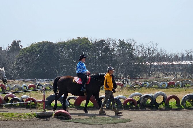 Private 2Days Tour a lot of Experience Driver in jeju island - What I would do to pace this tour and avoid fatigue