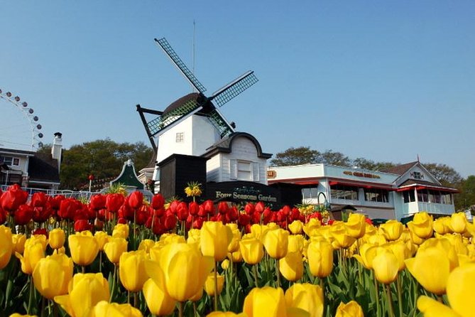 Private 4 days Nami Island&Petite France&Seoul&Everland tour - Price and Logistics: What You Pay, What’s Included, and What to Expect