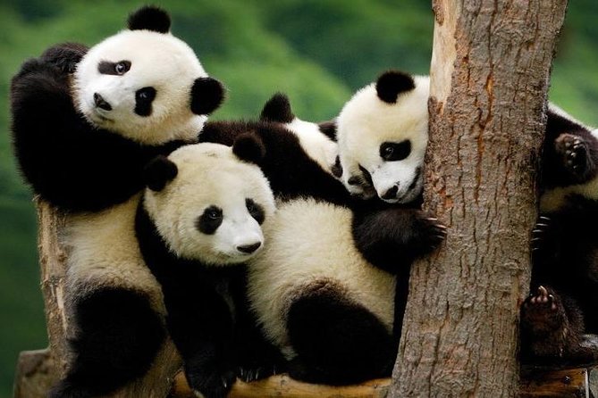 Private 4 days Nami Island&Petite France&Seoul&Everland tour - Why This Seoul 4-Day Route Feels Like a Best-Of Mix (Instead of Random Stops)