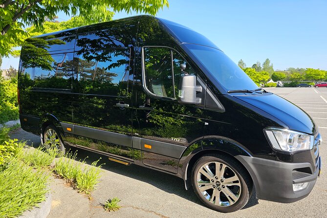 Private Airport Transfer From Incheon Airport To Seoul(up to 12) - Who should book this transfer, and who might consider something else