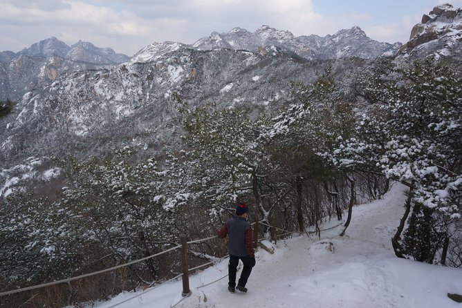 Private Bukhansan Hiking Tour (More Members Less Cost per Person) - Guides Who Adjust the Route, and Why Their Style Matters