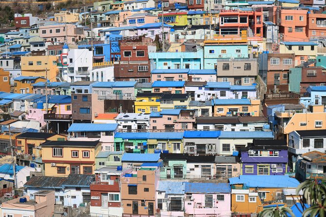 Private Busan tour with gamcheon culture village and the temple (Customizable) - A One-Day Busan Mix: Temples, Art Alleys, and Fish Markets