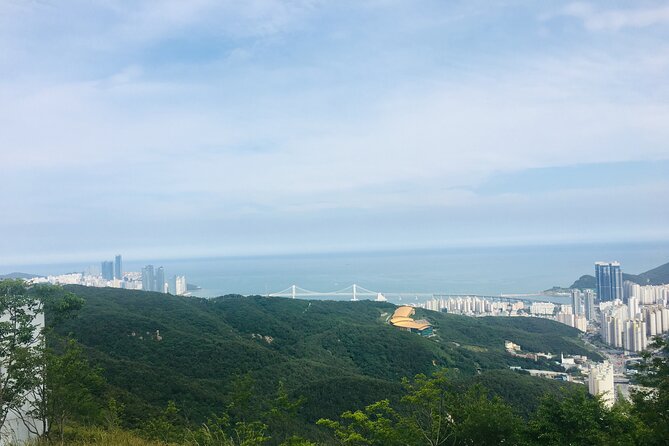 Private Busan tour with gamcheon culture village and the temple (Customizable) - Jagalchi and Gukje Markets: What to See, What to Buy, What to Skip