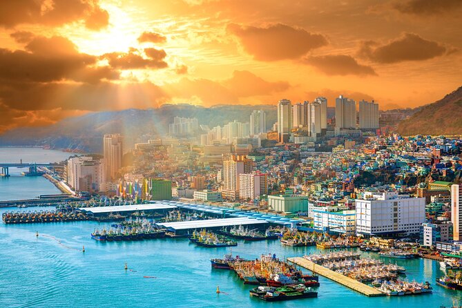Private Custom Tour With a Local Guide in Busan - City market and fish market stops that make the day feel local