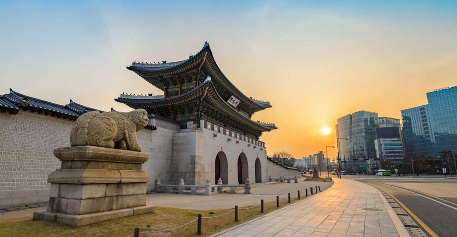 Private Customized Seoul Tour with Your Korean Buddy - Shopping and Snacks: Myeongdong and Namdaemun Market
