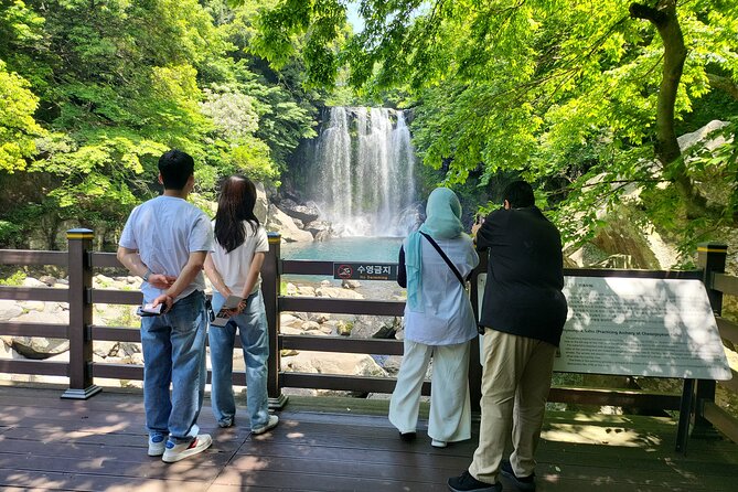Private Day tour East & south & west of All area in jeju island - Early Start Times, and How the Day Stays Flexible
