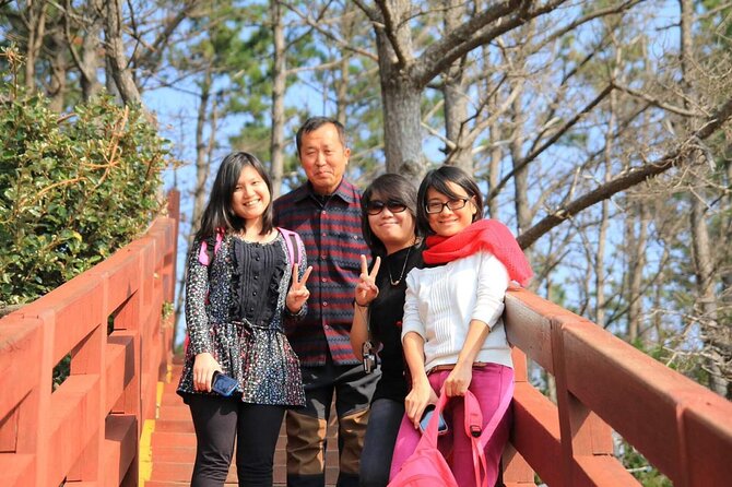 Private Day Tour in South and West in Jeju Island - South and West Jeju, the low-stress way: private taxi beats planning